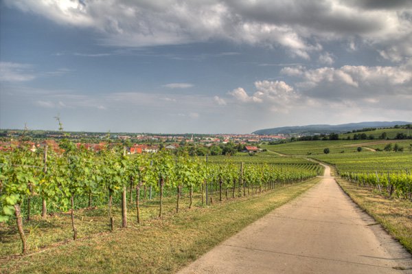 1. Bad Berkaer Bürgerreise 2012 nach Bad Dürkheim